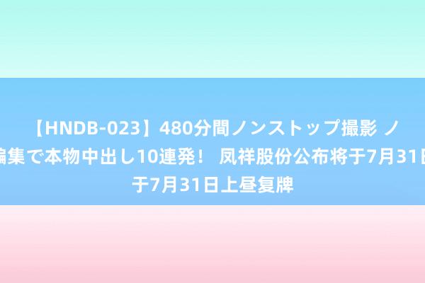 【HNDB-023】480分間ノンストップ撮影 ノーカット編集で本物中出し10連発！ 凤祥股份公布将于7月31日上昼复牌