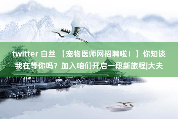 twitter 白丝 【宠物医师网招聘啦！】你知谈我在等你吗？加入咱们开启一段新旅程|大夫